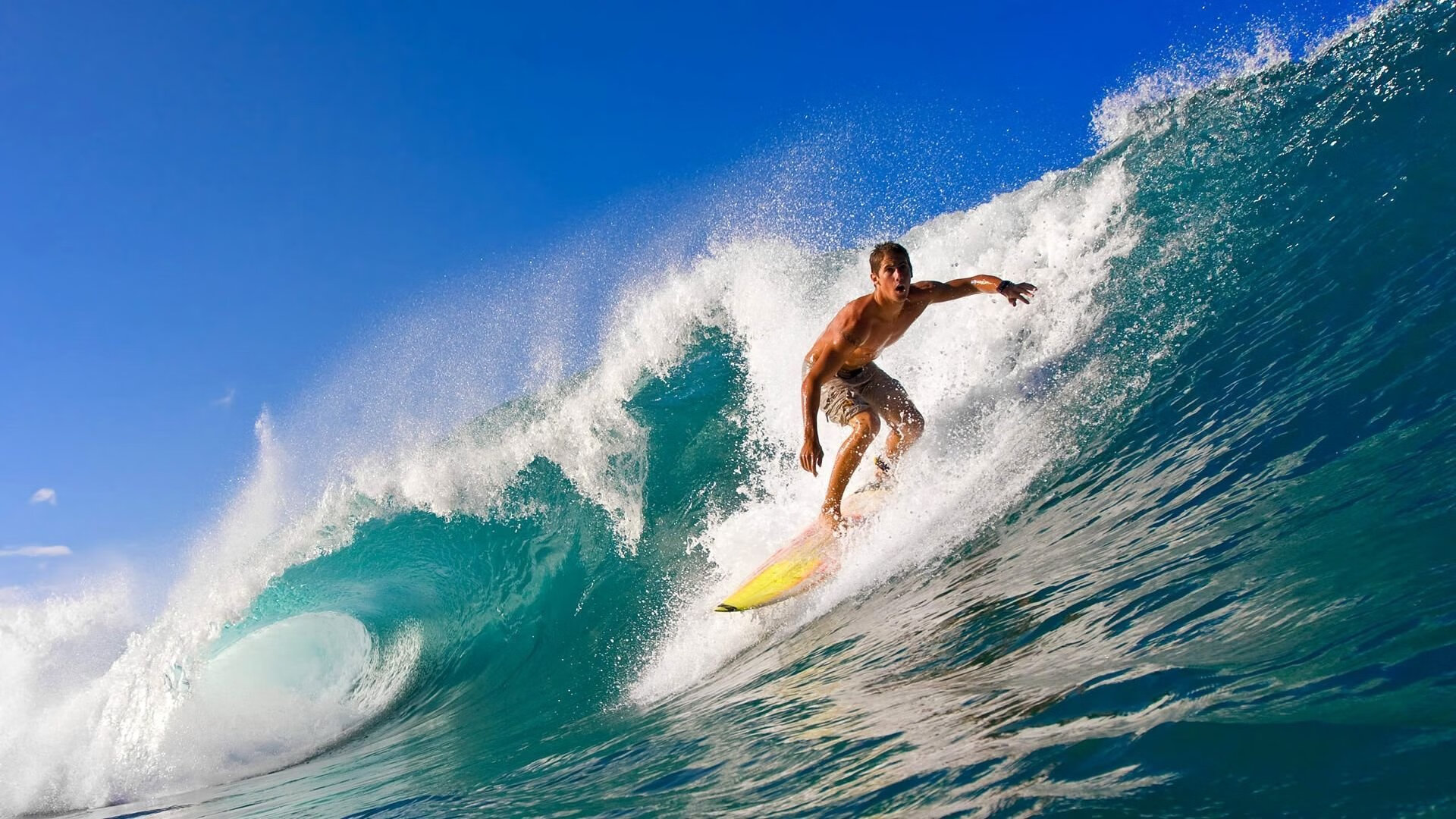 开云体育入口-坚持不懈：车队在逆境中的协作精神，车队励志语